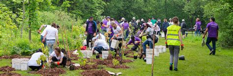 Tree Planting & Stewardship Events – City of Toronto