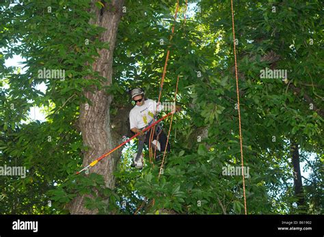 Arborist rope hi-res stock photography and images - Alamy