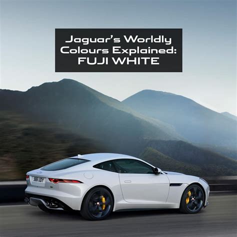 Jaguar Colours Defined: Fuji White | Jaguar Carlsbad