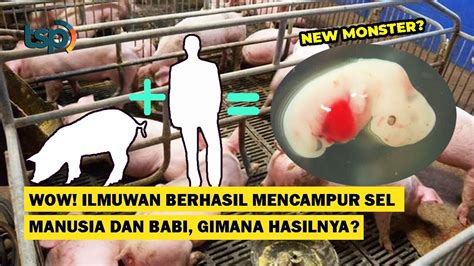 [ENG SUB] Whoa! Human Pig Hybrid Created in The Lab, What was The ...