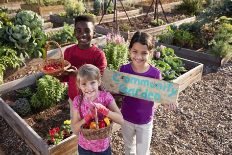 Benefits of a Community Garden | Kellogg Garden Organics™