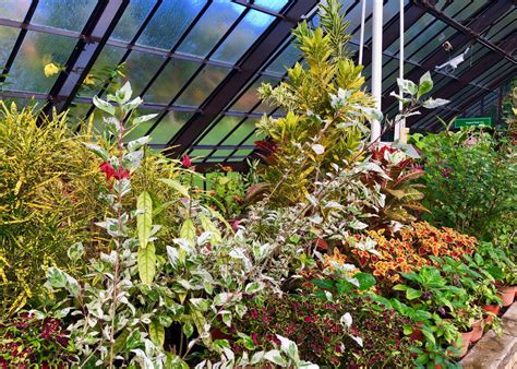 Glasgow Botanic Gardens: A Masterpiece – Global Garden Lab