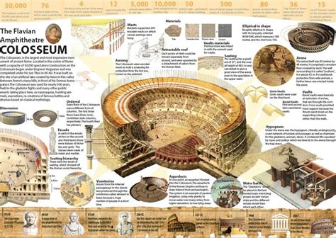 COLOSSEUM ARCHITECTURE INFOGRAPHIC-- (SEM 4 ARCHICTECTURE HISTORY 01) #architectural ...