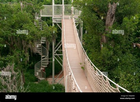 Canopy Trail, Santa Ana National Wildlife Refuge, Texas Stock Photo ...