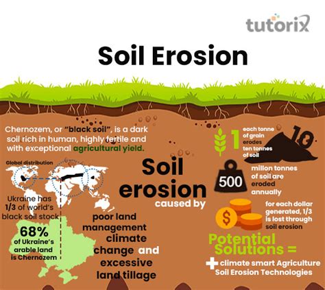 Soil Erosion Definition, Causes Types Video Lesson, 47% OFF