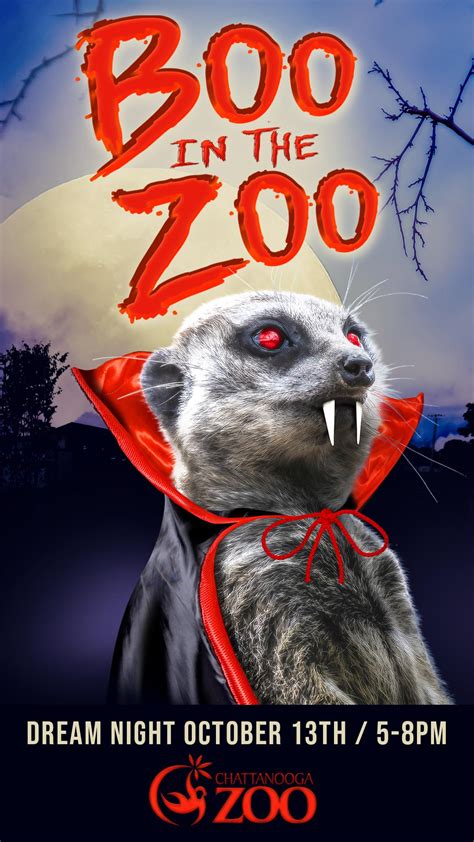 Dreamnight Boo in the Zoo 2021 Tickets in Chattanooga, TN, United States