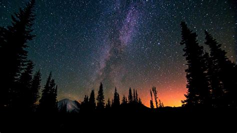 1920x1080 landscape night trees stars milky way sunrise silhouette ...