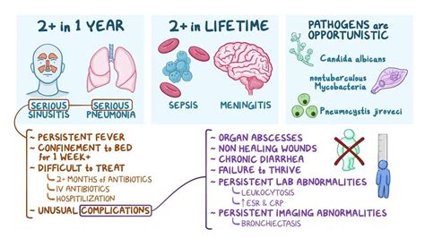 Suppressed Immune System: What Is It, Causes, and More | Osmosis