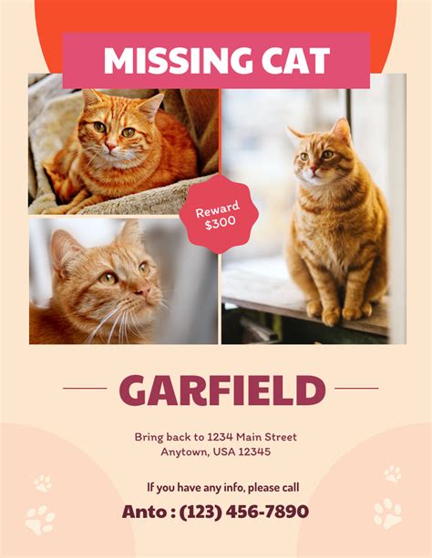 collana falda Nuvoloso missing cat poster eroina scatola Muscolare