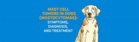 What Are Symptoms Of A Tumor In A Dog - Cancer In Dogs Causes Symptoms Treatments Canna Pet - If ...
