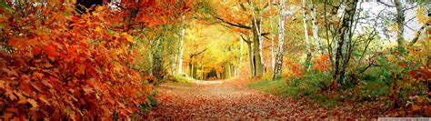 Fall Dual Monitor Wallpapers - Top Free Fall Dual Monitor Backgrounds ...