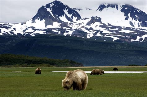 Katmai National Park and Preserve, Anchorage