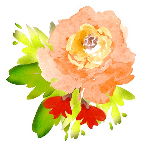 Watercolor Flowers Transparent at GetDrawings | Free download