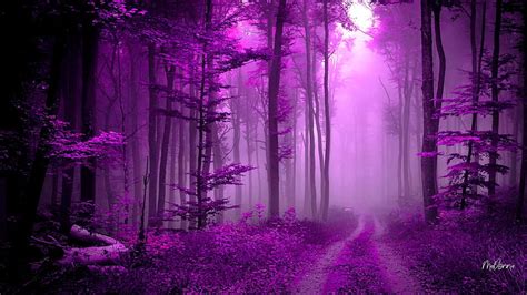 Path in Purple Forest, Firefox theme, forest, woods, trees, fantasy, leaves, HD wallpaper | Peakpx