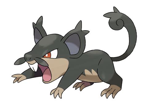 Rattata/Alolan - Pokémon Wiki - Neoseeker