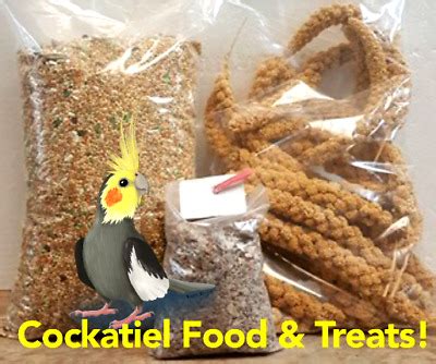 Cockatiel or Love Bird Food & Treats 5Lbs Feed 6oz Millet, Calcium & Mineral Bar | eBay