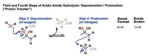 Amide Hydrolysis Using Acid Or Base – Master Organic Chemistry