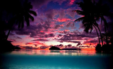 Landscape Nature Tahiti Sunset Palm Trees Island Beach - Island Palm ...