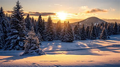 Austria Forest Nature Snow Sunset Winter HD Nature Wallpapers | HD ...