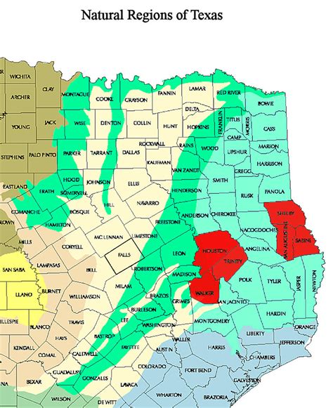 East Texas counties with site collections discussed in this article. | Download Scientific Diagram