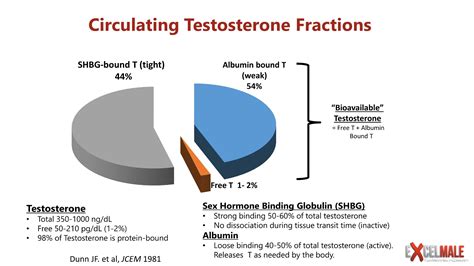 Testosterone Testing Near Me