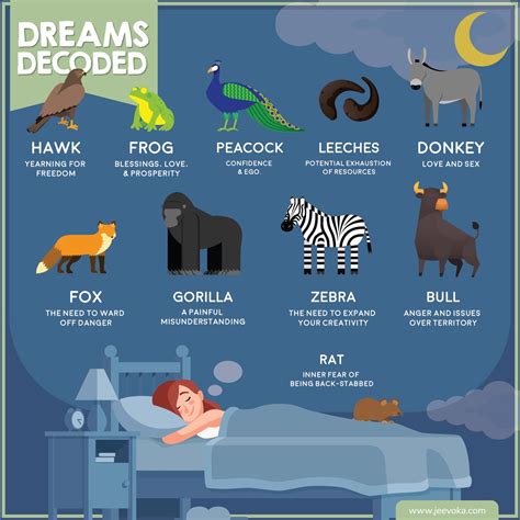 Jeevoka - Animals in Your Dreams?