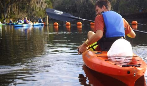 manatee kayak tours blue springs (10) - Florida Kayaking Tours