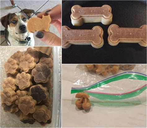 Healthy Homemade Peanut Butter Coconut Oil Dog Treats - House Fur