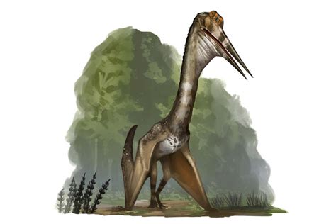 Draw Dinovember 2016 DAy 8 Quetzalcoatlus by daitengu on DeviantArt