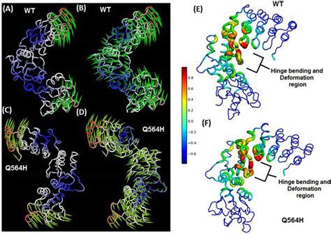 (A and B) Comparative Normal Mode Analysis and representation of mode 1... | Download Scientific ...