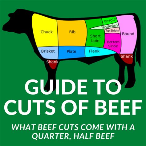 Understanding Different Cuts of Beef: A Comprehensive Guide - Rowdy Hog Smokin BBQ