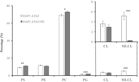 Membranes | Free Full-Text | Phosphatidylglycerol Supplementation Alters Mitochondrial ...