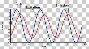 Jablonski Diagram Fluorescence Excited State Phosphorescence Absorption PNG, Clipart, Angle ...