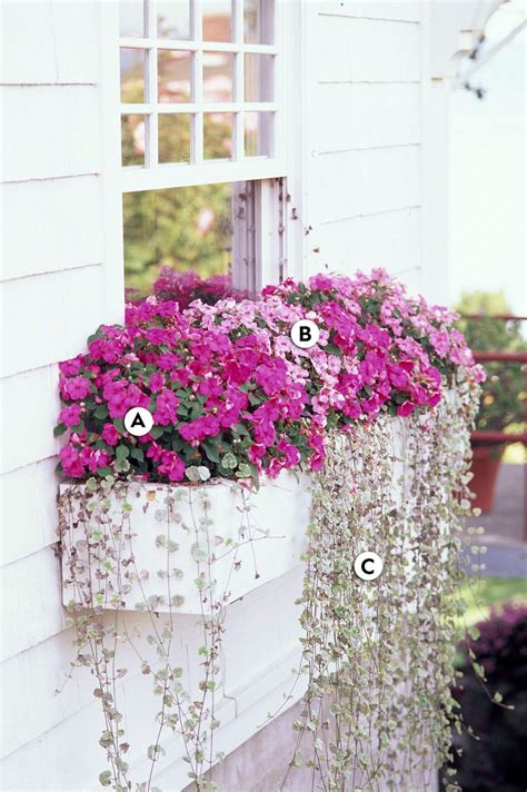 Slide 1: Maximize the Power of Pink Plants For Planters, Planter Boxes Flowers, Container ...