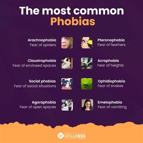 Surprising Facts About Phobias You Probably Didn't Know - The Wellness Corner