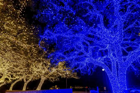 14 Fun Things to Do for Christmas in Fredericksburg, Texas