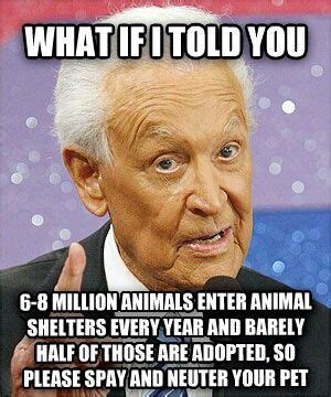 Bob Barker Spay And Neuter Your Pets Quote - Pets Retro