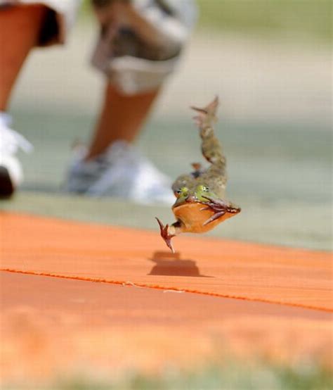 Frog Jump Festival in Ohio