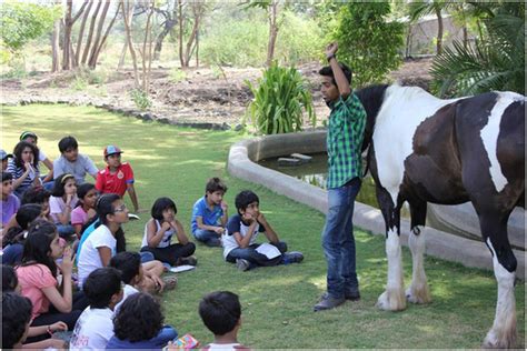 Riding on with Japalouppe, an Equestrian academy | Kidsstoppress