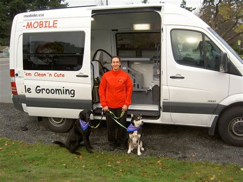 A Dog S Best Friend Mobile Grooming - Get More Anythink's