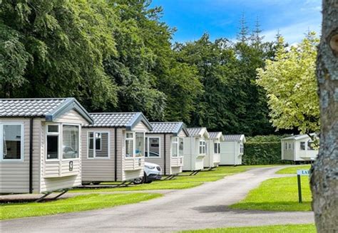 7 Reasons to Stay at our Devon Holiday Park 2023 | Forest Glade