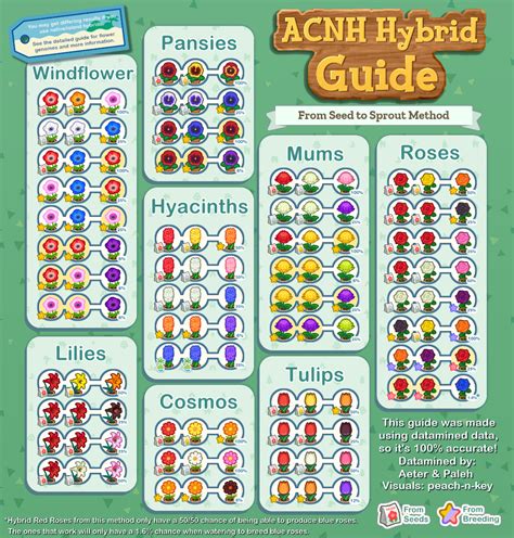 ACNH Hybrid Guide: Complete Collection