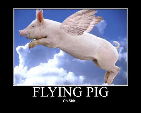 Flying Pig Quotes. QuotesGram