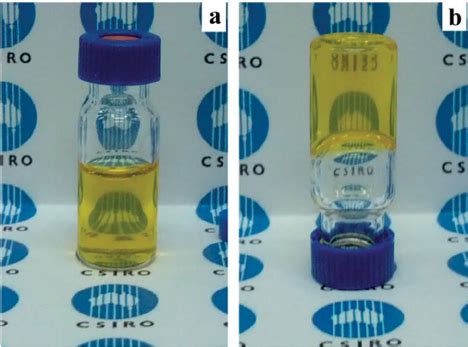 Photographs of the azobenzene sol (60 C) and gel (20 C) in n dodecane... | Download Scientific ...