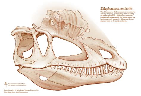 Famous ‘Jurassic Park’ Dinosaur Was a Lot Bigger and More Powerful Than Scientists, or Movie ...