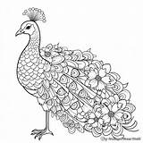 Peacock Coloring Pages For Adults  Free & Printable sketch template
