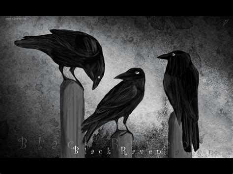 Dark Raven Wallpaper - WallpaperSafari