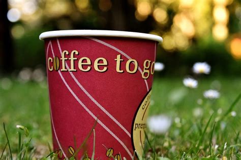 Calls for a \'latte levy\' to be added to paper coffee cups | Radio NewsHub