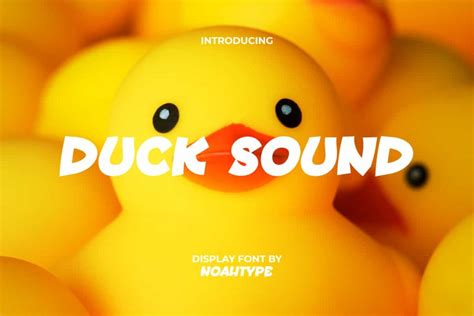 Duck Sound Font by NoahType Studio