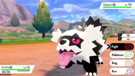 Galarian Zigzagoon • Pokémon Sword & Shield • Marriland.com